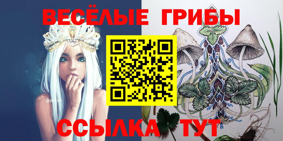 Коряжма  Галлюциногенные грибы Psilocybine cubensis  Вход с VPN  цена   Галлюциногенные грибы MAGIC MUSHROOMS 