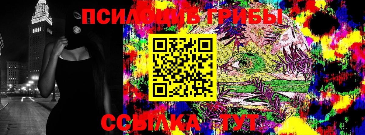 Галлюциногенные грибы мицелий Коряжма